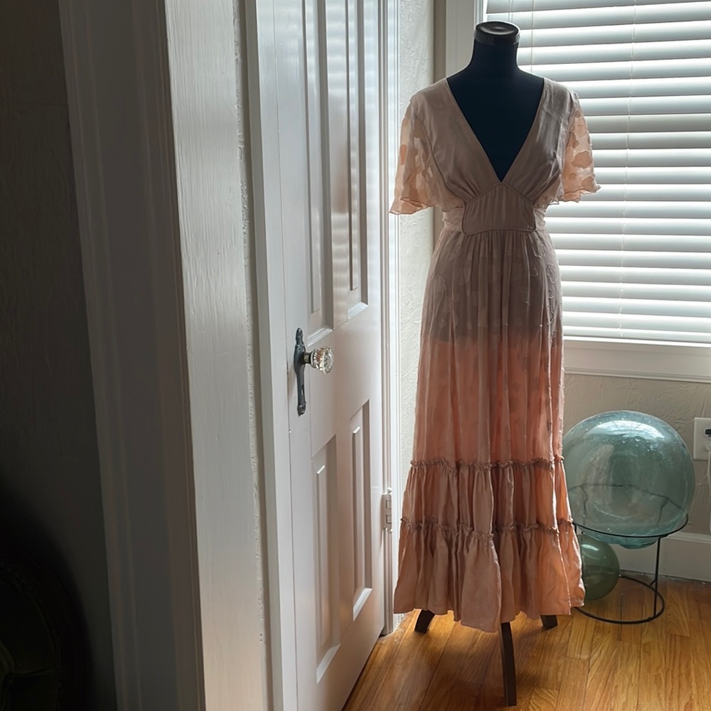 Vintage Anna Sui silk dress with acetate lining.